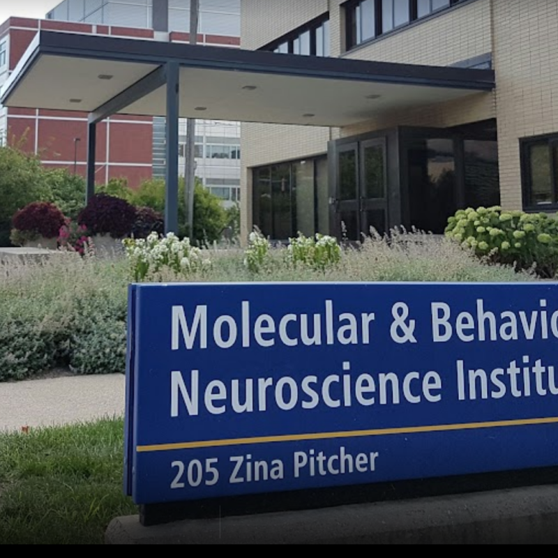 February 2022 News Michigan Neuroscience Institute Michigan